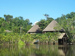 Tropical Rainforest in Ecuador