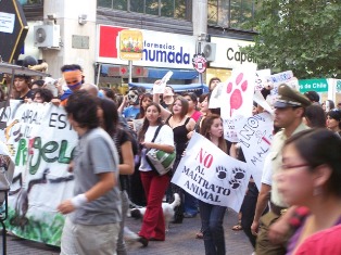 Animal Rights Protest in Santiago, Chile