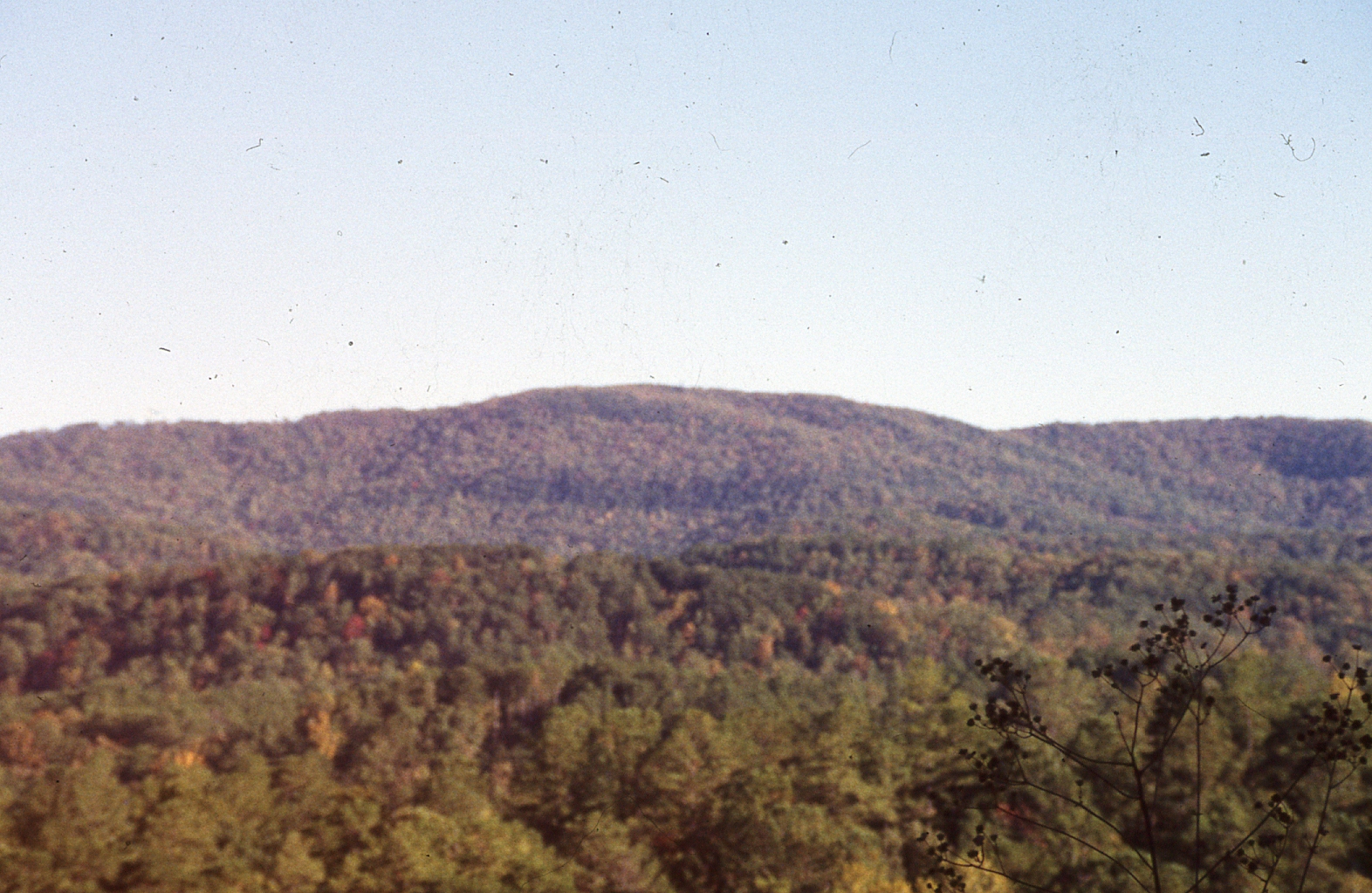 Dugger Mountain Wilderness Area in northeastern Alabama