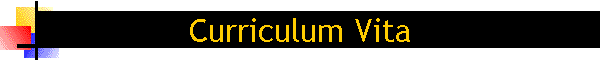 Curriculum Vita