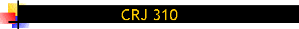 CRJ 310