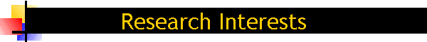 Research Interests